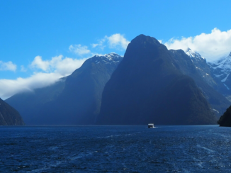 Nieuw-Zeeland - Milford Sound