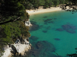Nieuw-Zeeland - Abel Tasman