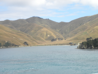 Nieuw-Zeeland - De veerdienst van Noord naar Zuid