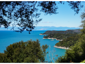 Nieuw-Zeeland - Abel Tasman