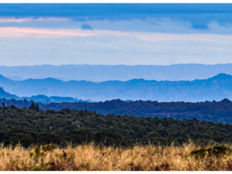 Nieuw-Zeeland - Start Tongariro Crossing
