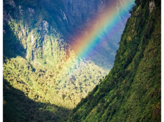 Nieuw-Zeeland - Rainbow Doubtful-sounds