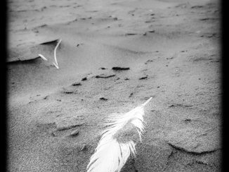 Nieuw-Zeeland - Karekare...