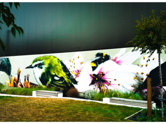 Nieuw-Zeeland - Beautiful Christchurch