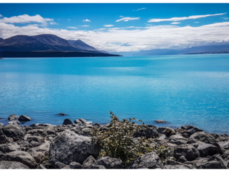 Nieuw-Zeeland - Lake Pukaki