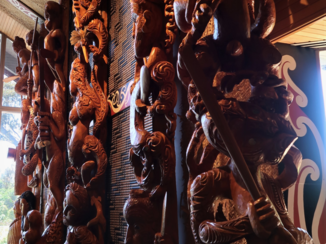 Nieuw-Zeeland - Museum Waikato