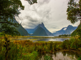 Milford Sound