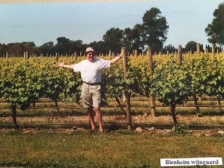 Nieuw-Zeeland - Tussen de beste sauvignon ter wereld