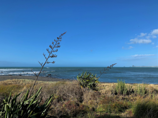 Nieuw-Zeeland - Taranaki / New Plymouth